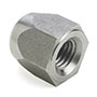 Stainless Steel Acorn Nut